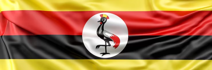 Solomon Kampala's banner