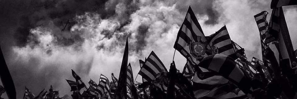 rodriguesˢᶜᶜᵖ's banner