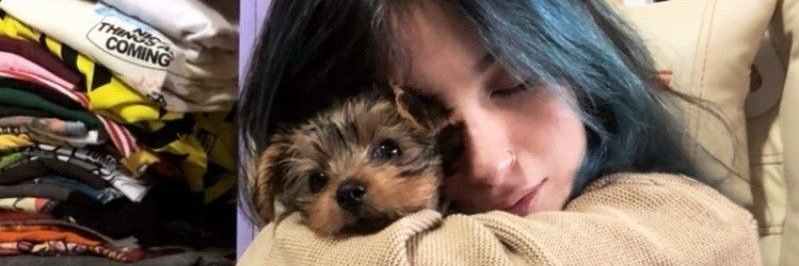 nat's banner