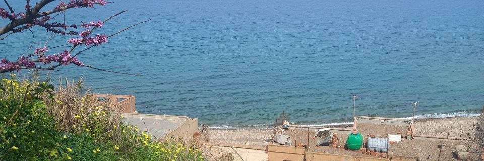 نوال أتراكسيا🦩's banner