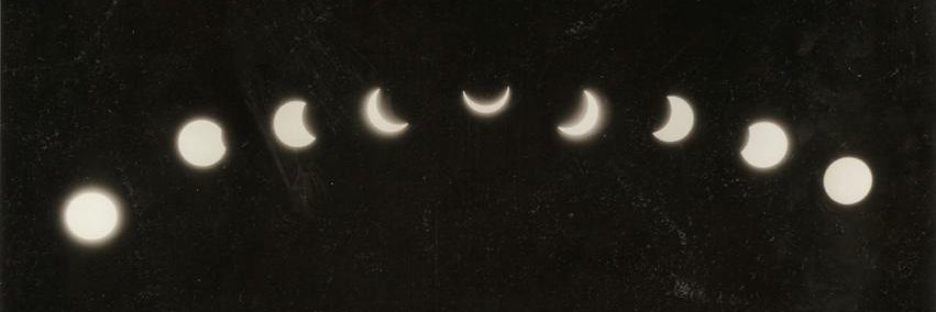 Gigi Young's banner