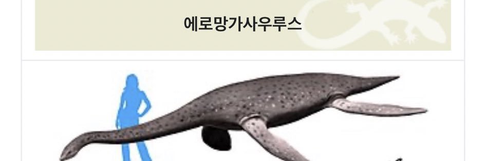 음's banner