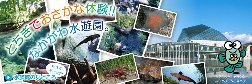 栃木県なかがわ水遊園【公式】's banner