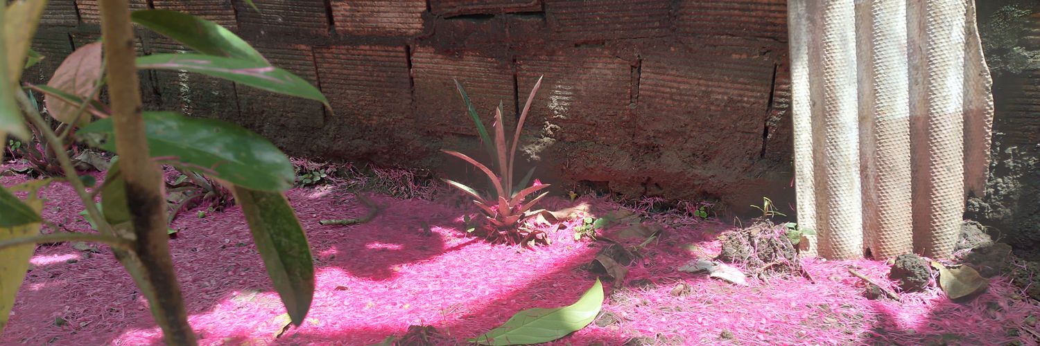 glitch2209's banner