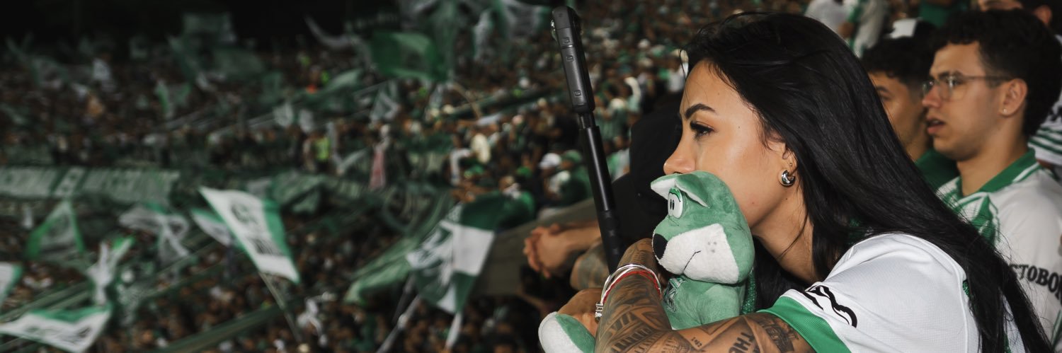 M e l i's banner