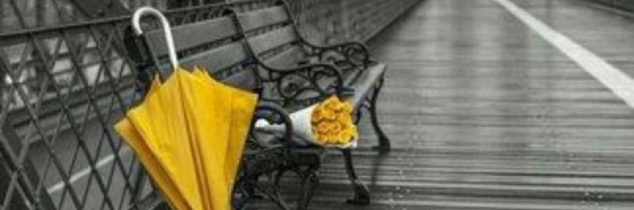 قلب من ورق's banner