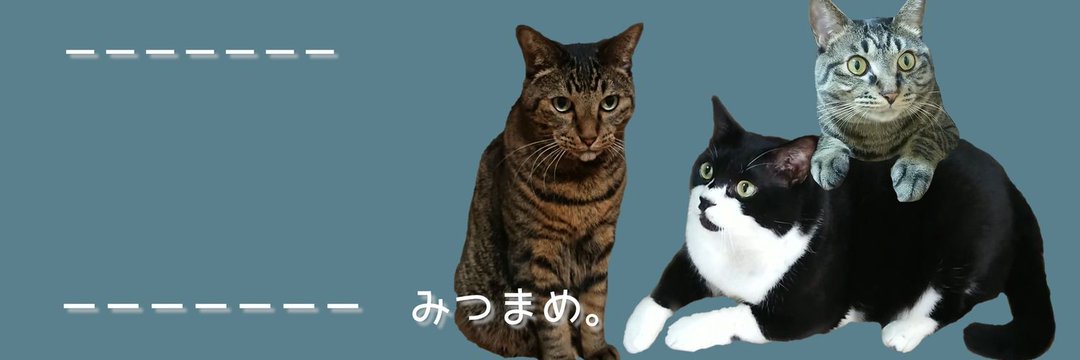 みつまめ。's banner