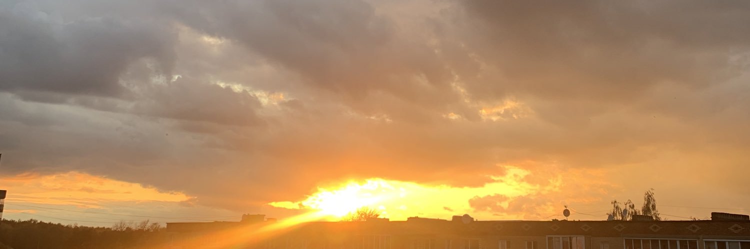 Рядовая единица Z's banner