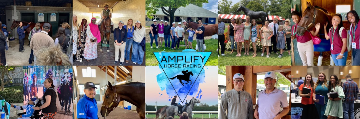 Amplify Horse Racing's banner