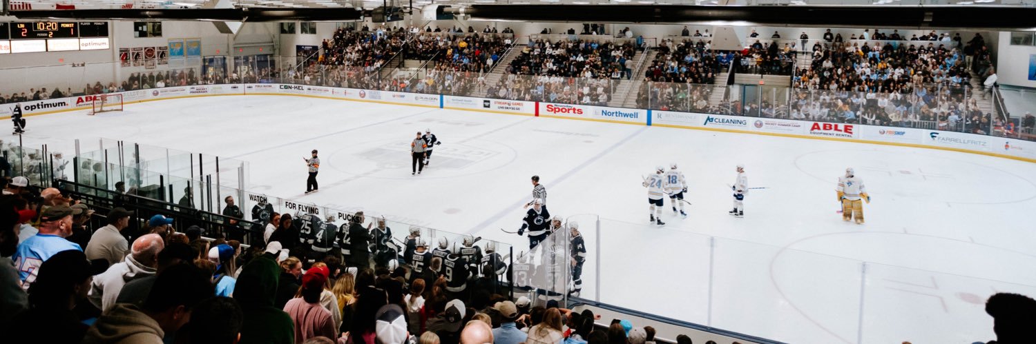 LIU Men’s Ice Hockey's banner