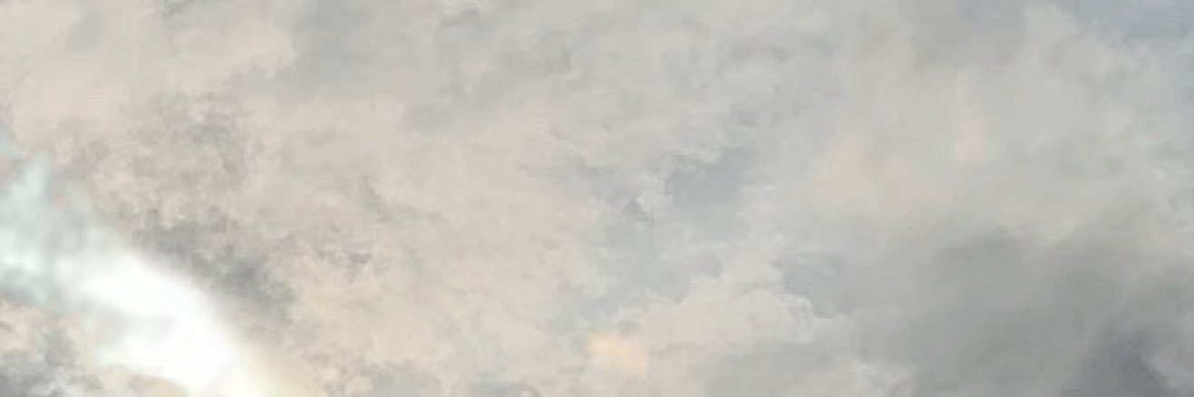 k𝖆vion ꕤ’ ari in 3 weeks's banner