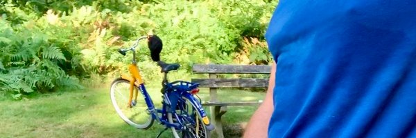 TJenner in NL • 🇳🇱's banner