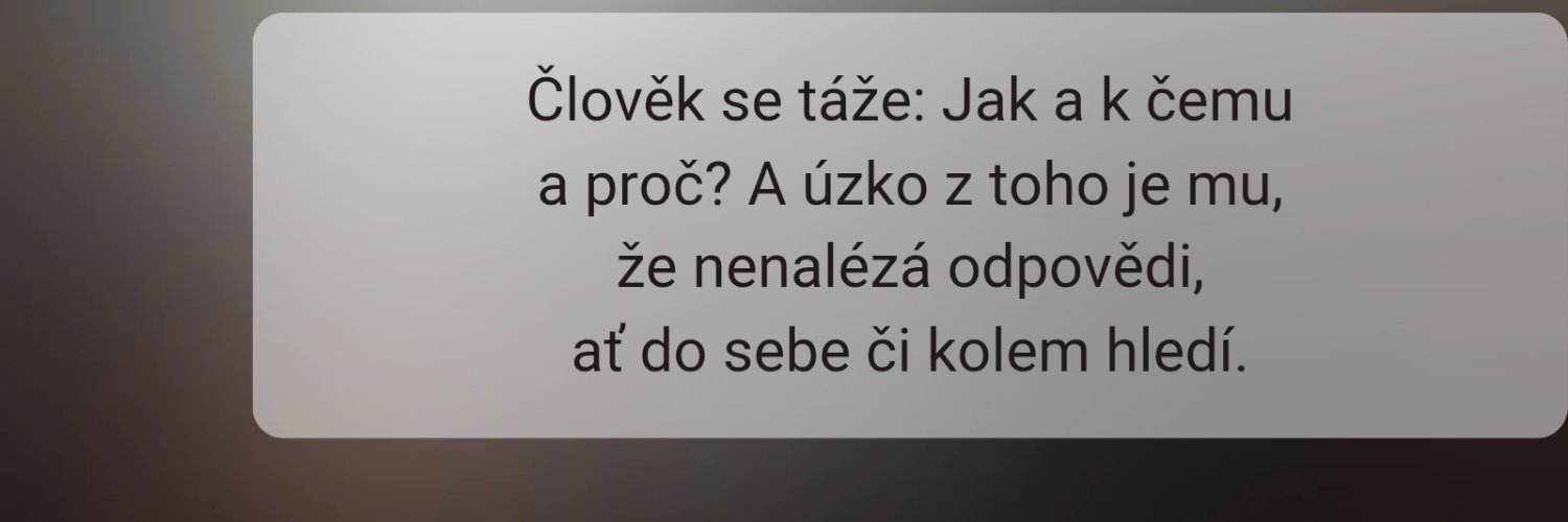 Marcela Havlíčková's banner