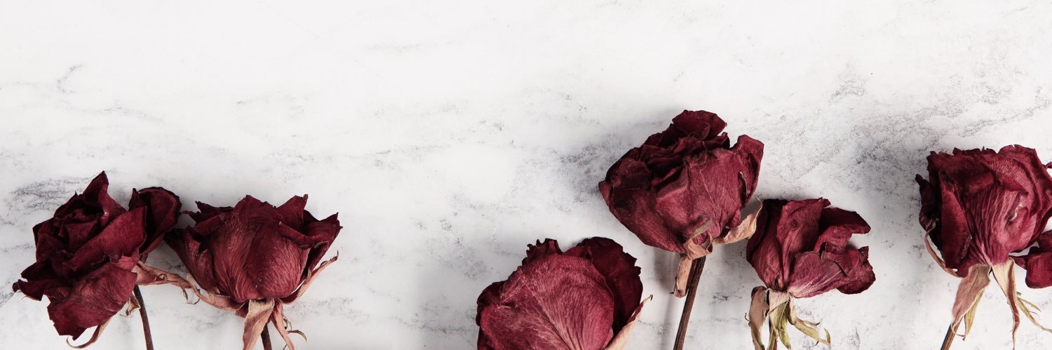 susanne's banner