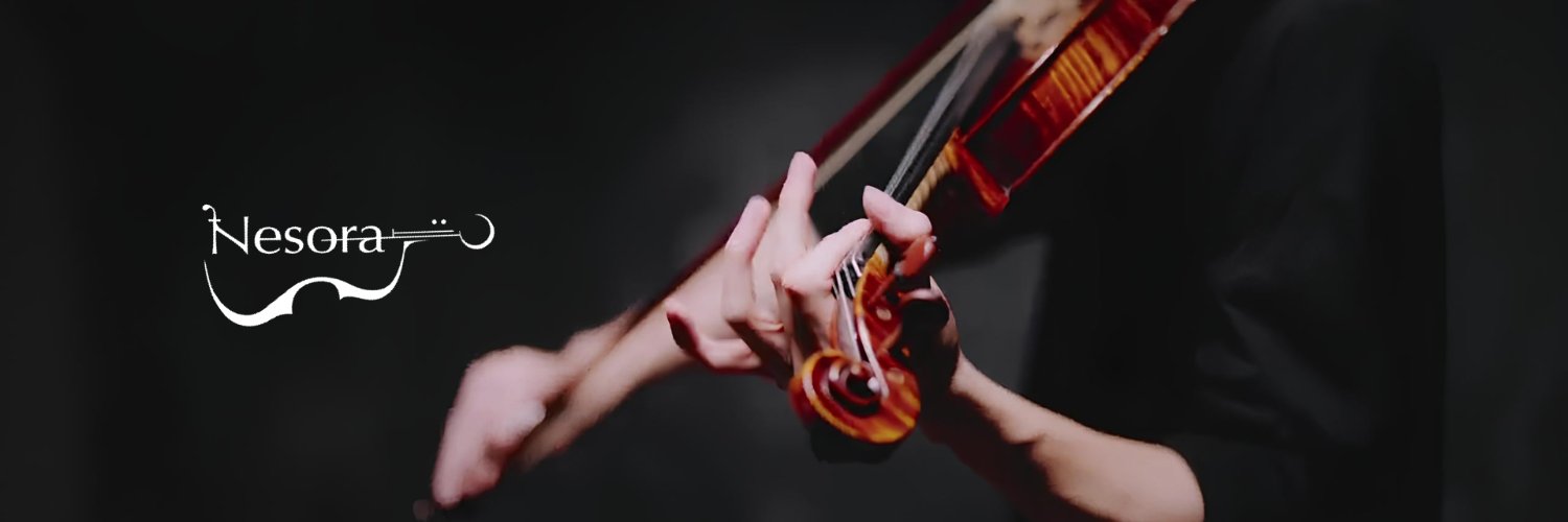 Nesora / Violinist's banner