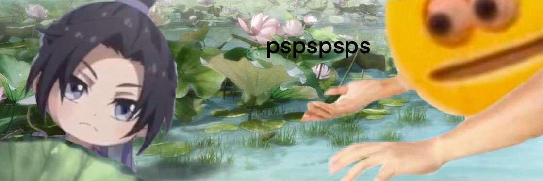 🌙's banner