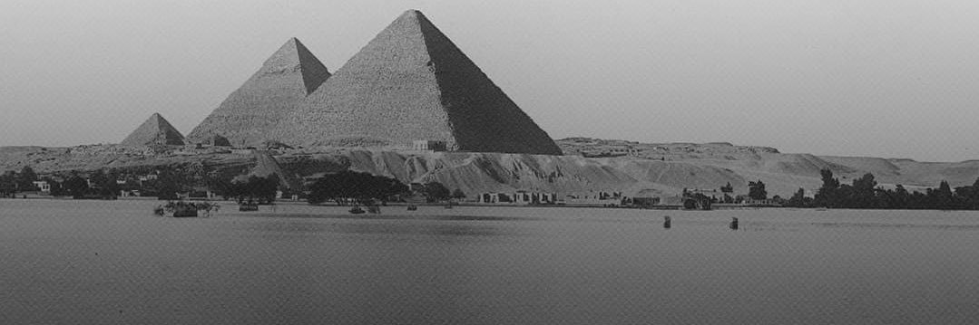 رابطة المغتربين المصريين©️'s banner