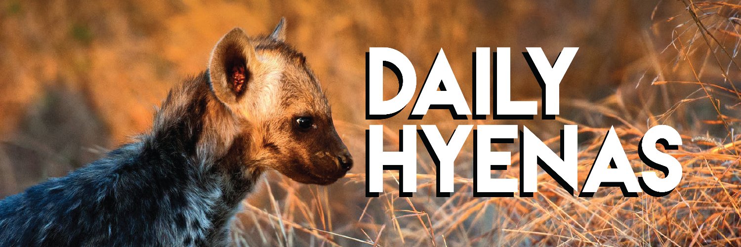 🐾 dailyHyenas 🐾's banner