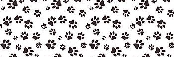 𝙰𝚂𝙴𝙴𝙻 🐾's banner