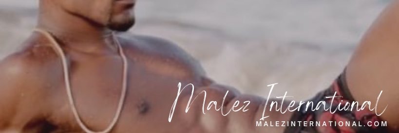 Malez International's banner