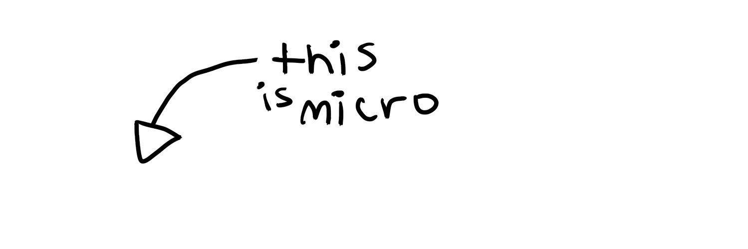 micro's banner