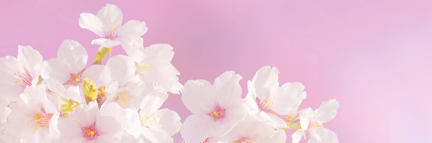 小花衣こっこ🌸's banner