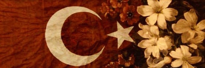 Türk Destanı 🇹🇷's banner