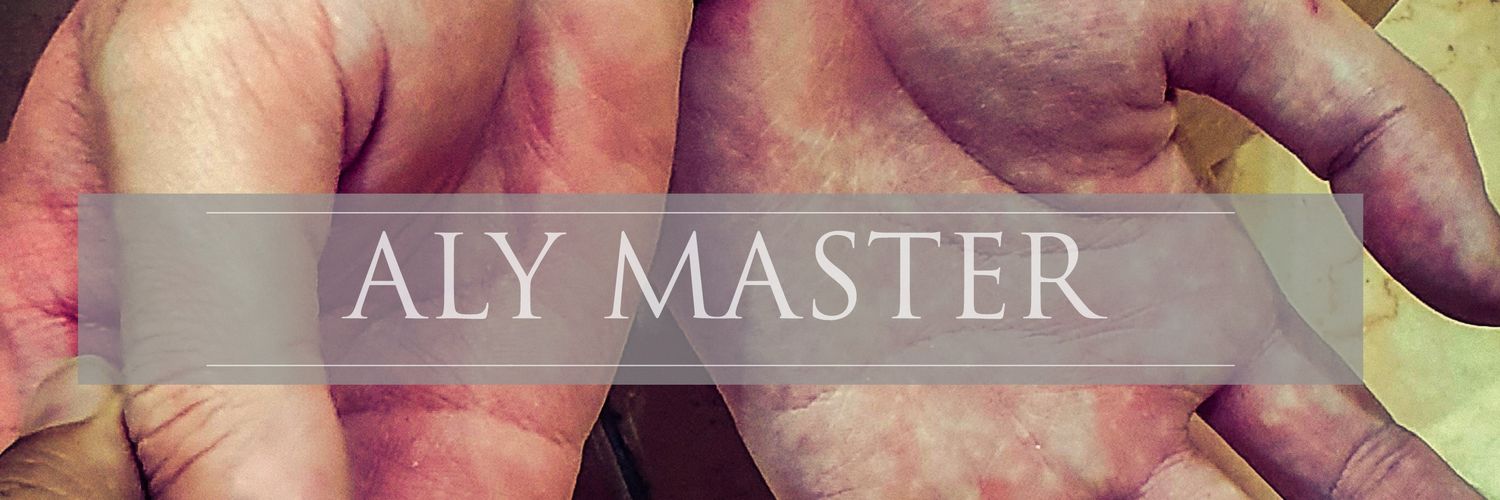 ALY MASTER's banner