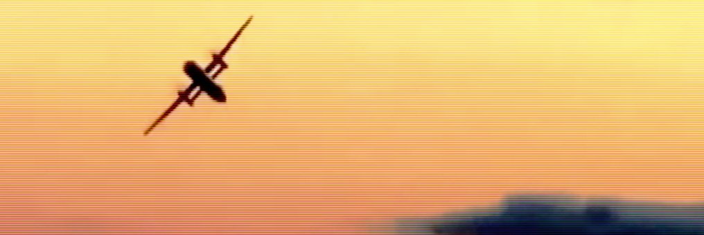 Leo's banner