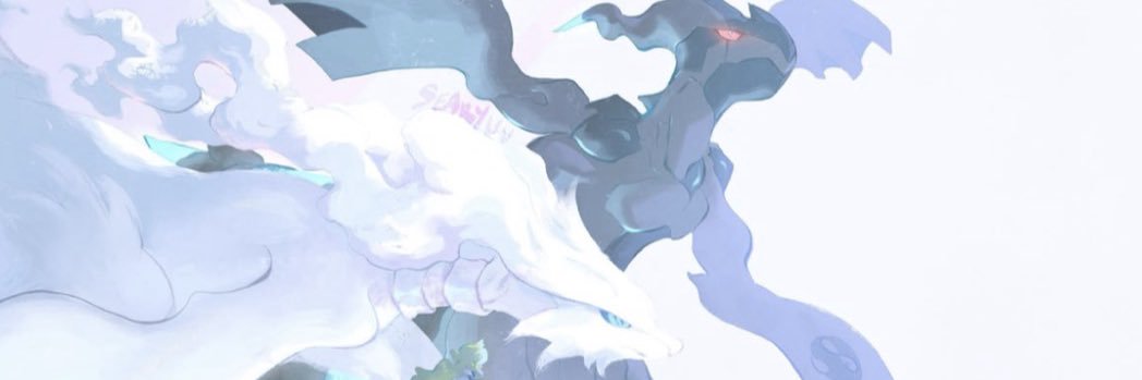 XSET Twizz's banner