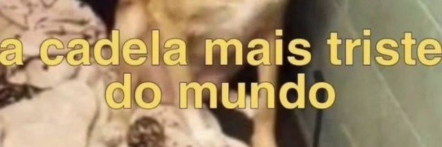 caio's banner