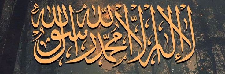 مُحسن غُصن's banner
