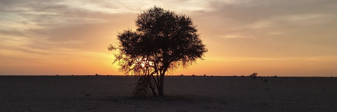سامي السيد ..'s banner