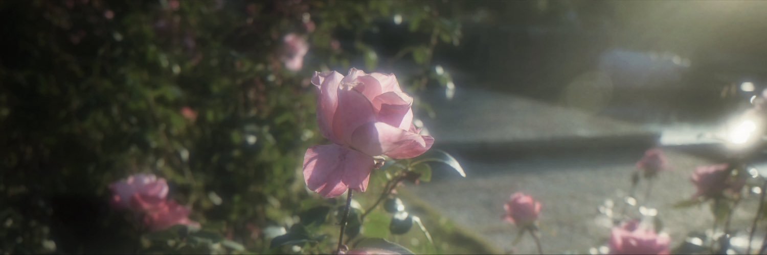 🐈‍⬛'s banner