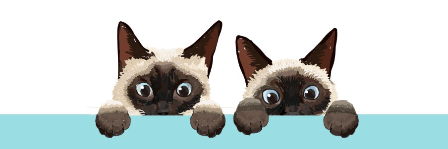 ねこねこチーズケーキ【公式】's banner