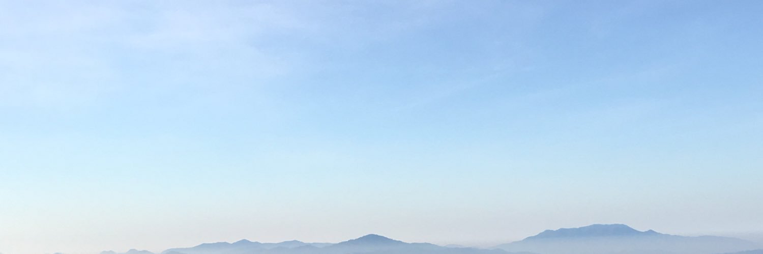 🦙's banner