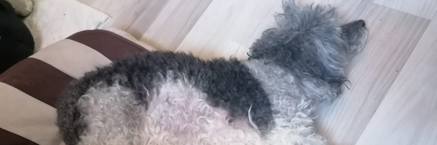 VentiVR - Archived - Active On 🦋's banner