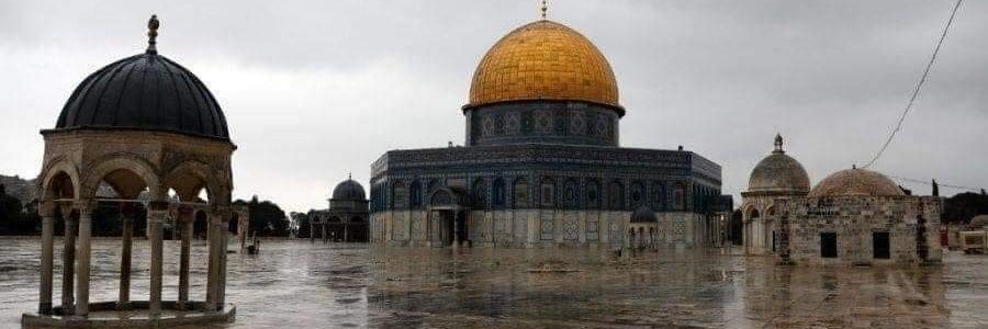 حلمي 🔻 🇵🇸's banner