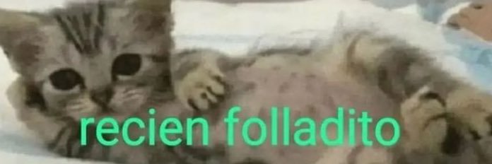 calo's banner