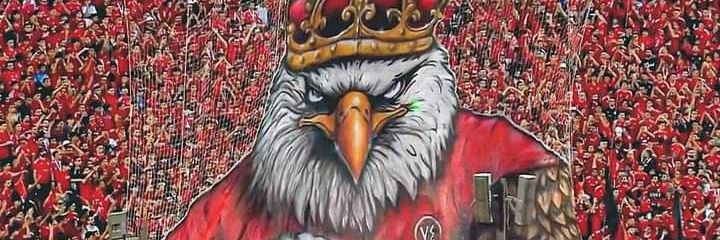 Nouran Hosni's banner