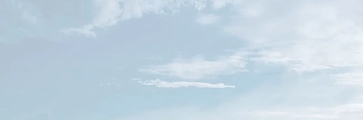 diego's banner