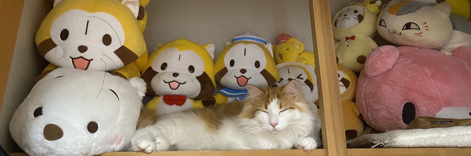 のるちゃん🐈ノルウェージャンフォレストキャット🇳🇴's banner