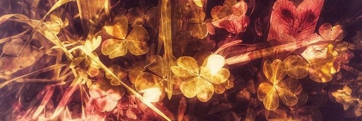 Eggzwithfeetz 🍳's banner