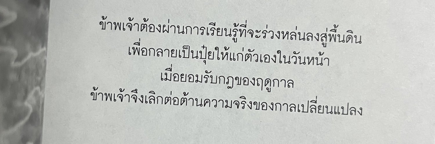 หมีกบชอบกินไข่เจียว🔥🌿's banner