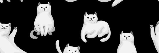 🐱's banner
