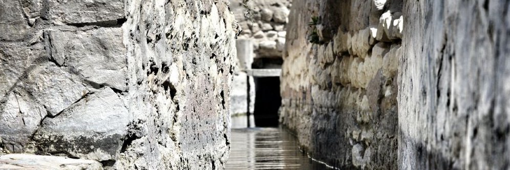 نزوى الرواحية's banner