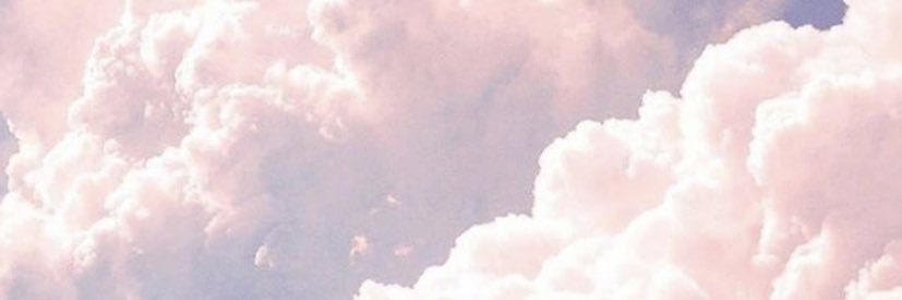 VS's banner