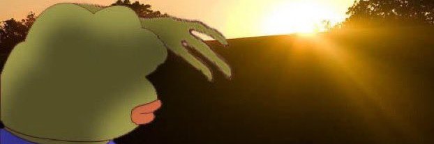 Alvini 🐸's banner