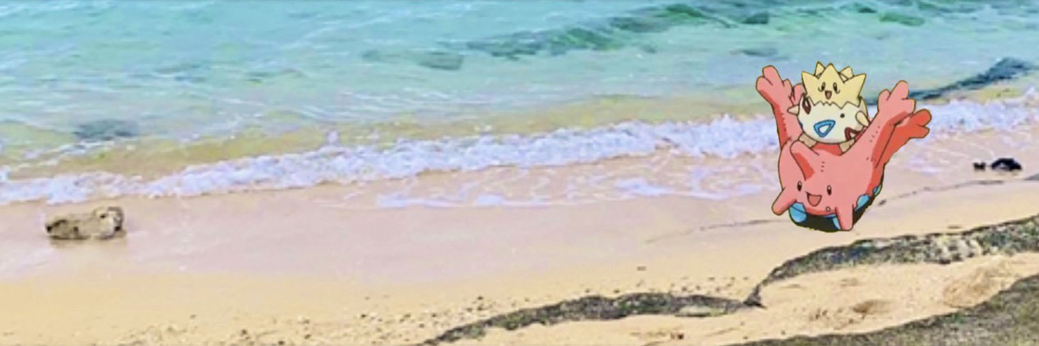 海野名津紀(けんぴ。)🌻🦒/謎解き制作's banner