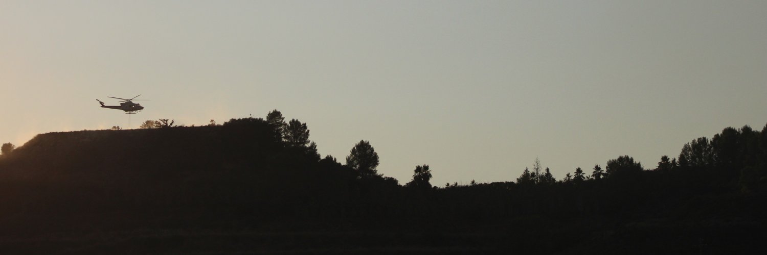 Ferran Dalmau - Rovira's banner